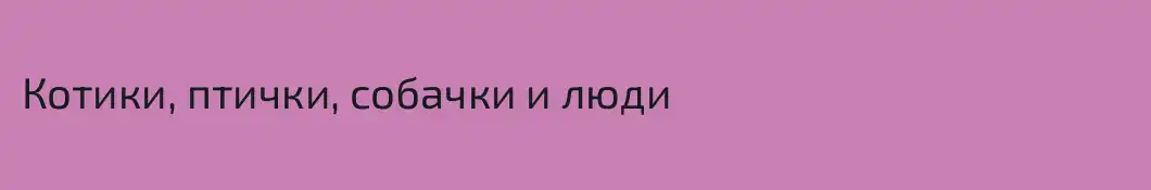 Котики, птички, собачки и люди